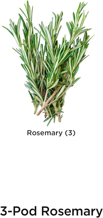 AeroGarden International Basil Seed Pod Kit(Rosemary)