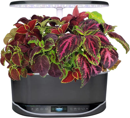 AeroGarden Cascading Petunias Seed pod Kit for AeroGarden Hydroponic Indoor Garden, 6-Pod(Colorful Coleus)
