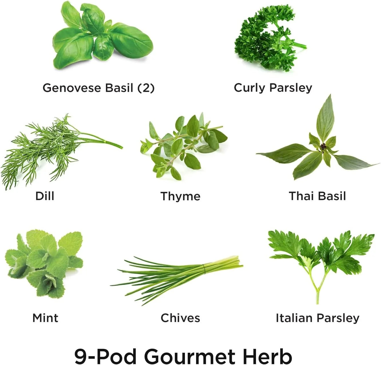AeroGarden Gourmet Herb Seed pod Kit – Herb Seeds for AeroGarden Indoor Garden, 3-Pod(9-Pod)