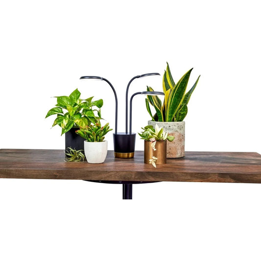 AeroGarden Trio Grow Light for Indoor Plants, Grow Live Plants Anywhere in The Home, Adjustable Light Modes, Black(Black)