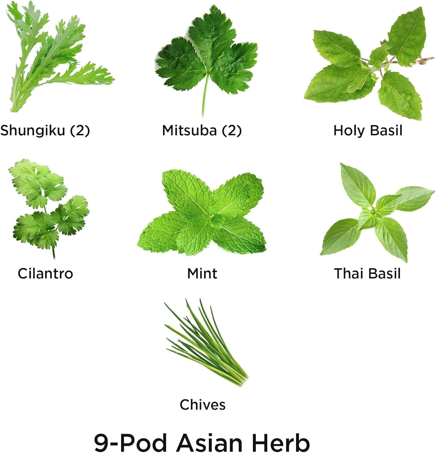 AeroGarden International Basil Seed Pod Kit(Asian Herbs)