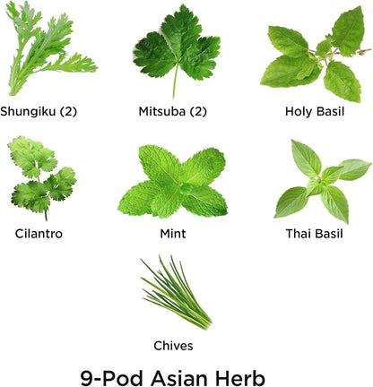 AeroGarden International Basil Seed Pod Kit(Asian Herbs)
