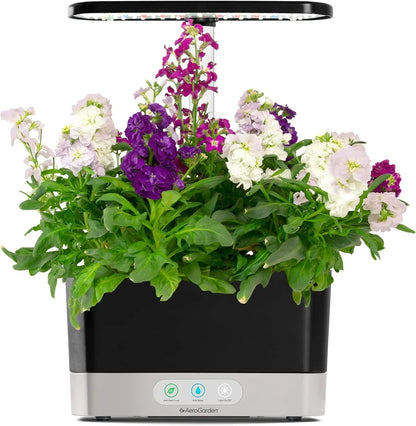 AeroGarden Cascading Petunias Seed pod Kit for AeroGarden Hydroponic Indoor Garden, 6-Pod(Spring Flowers)