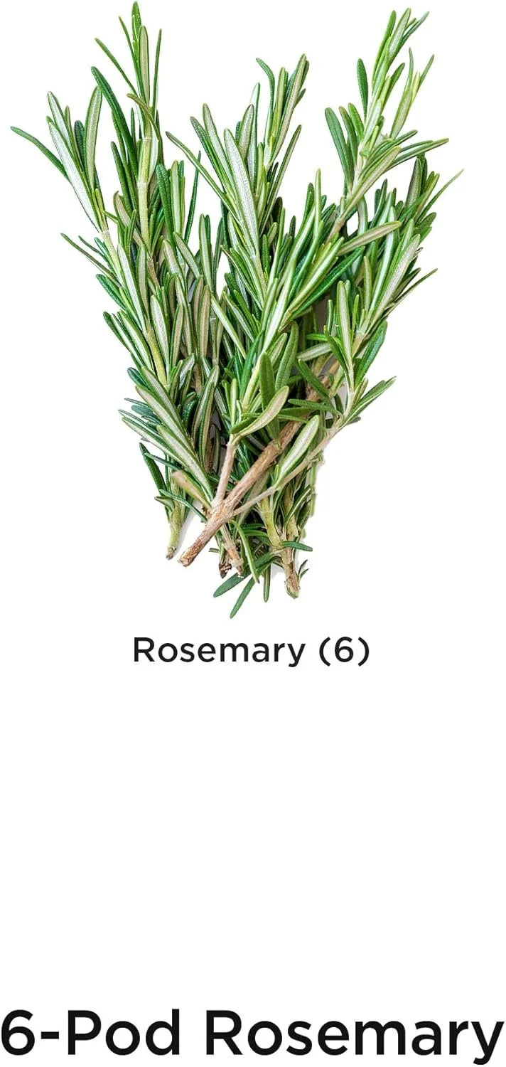 AeroGarden International Basil Seed Pod Kit(Rosemary)