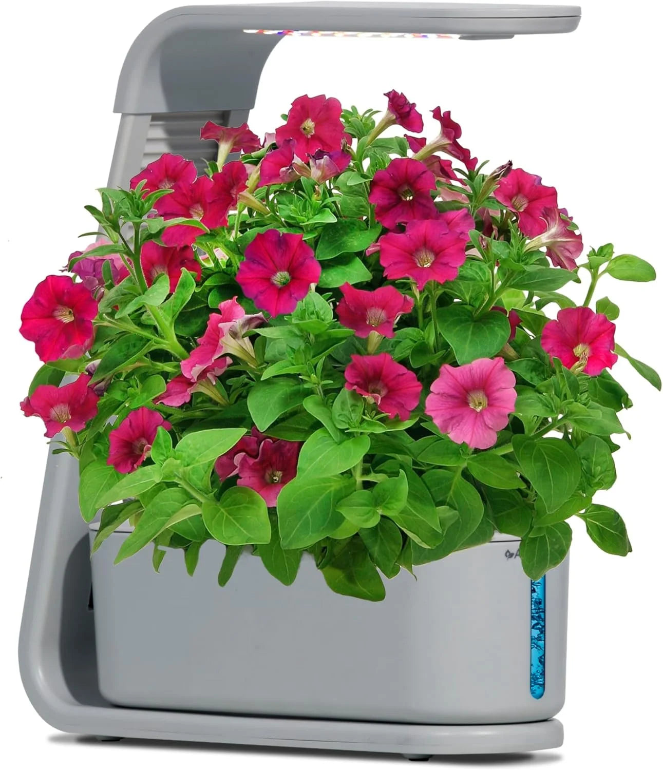 AeroGarden Sprout – Indoor Garden with LED Grow Light, Black(Cool Gray)