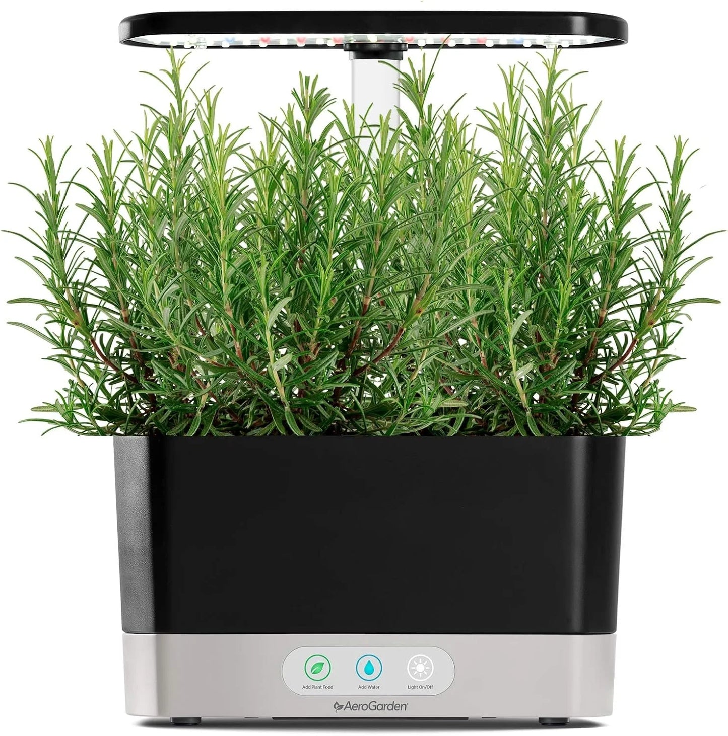 AeroGarden International Basil Seed Pod Kit(Rosemary)