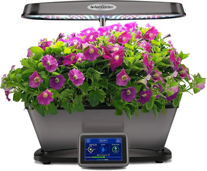 AeroGarden Cascading Petunias Seed pod Kit for AeroGarden Hydroponic Indoor Garden, 6-Pod(Love Blooms)
