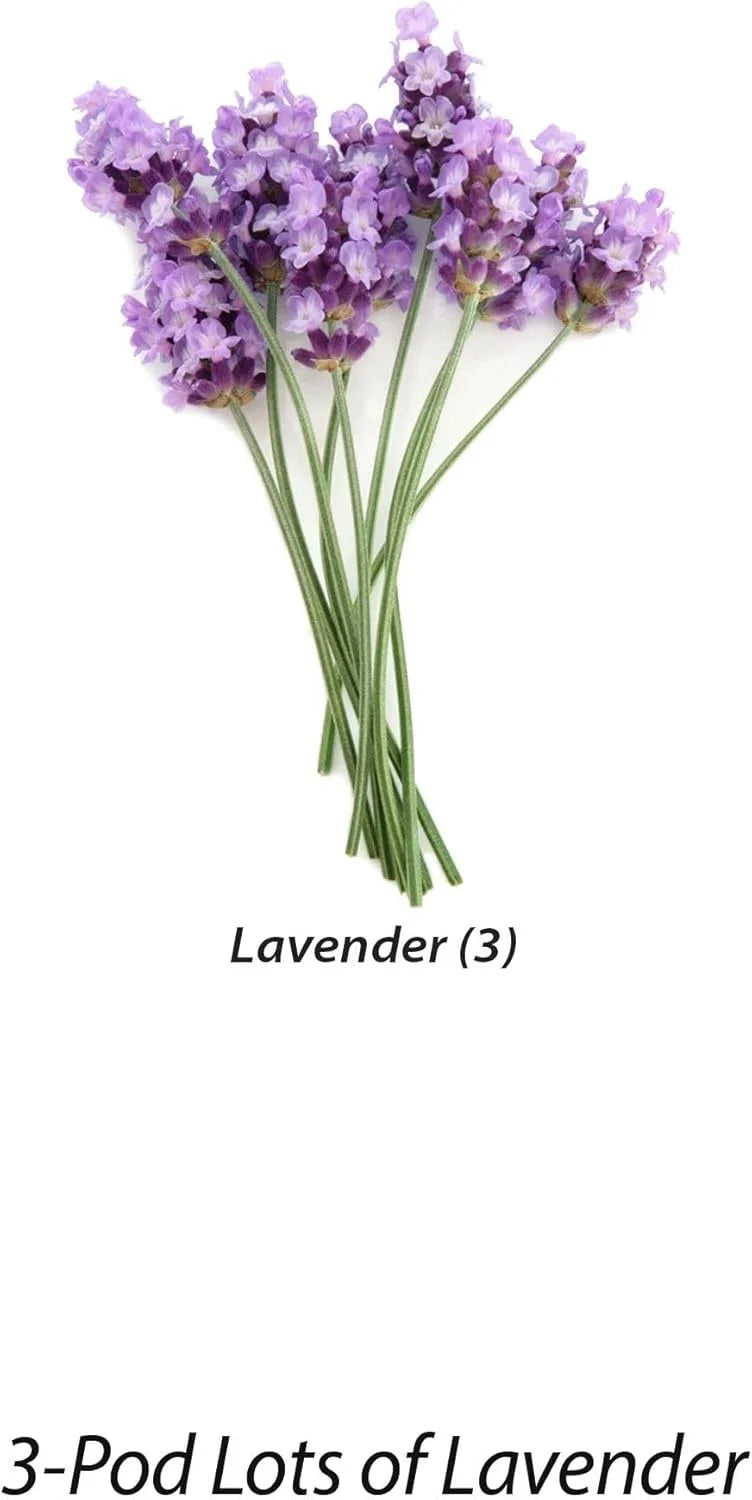AeroGarden Cascading Petunias Seed pod Kit for AeroGarden Hydroponic Indoor Garden, 6-Pod(Lavender)
