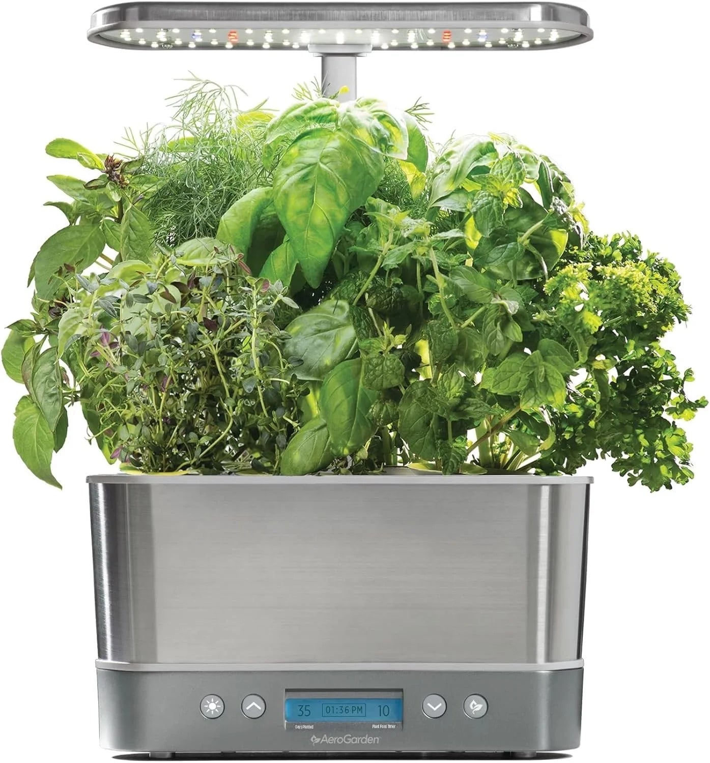 AeroGarden Gourmet Herb Seed pod Kit – Herb Seeds for AeroGarden Indoor Garden, 3-Pod(6-Pod)