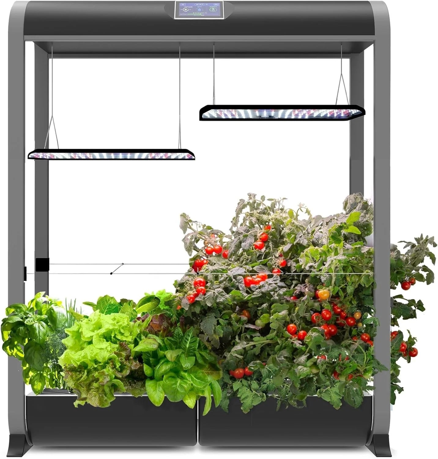 AeroGarden Heirloom Salad Greens Mix Seed Pod Kit – Salad Kit for AeroGarden Indoor Garden, 9-Pod(24-pod)