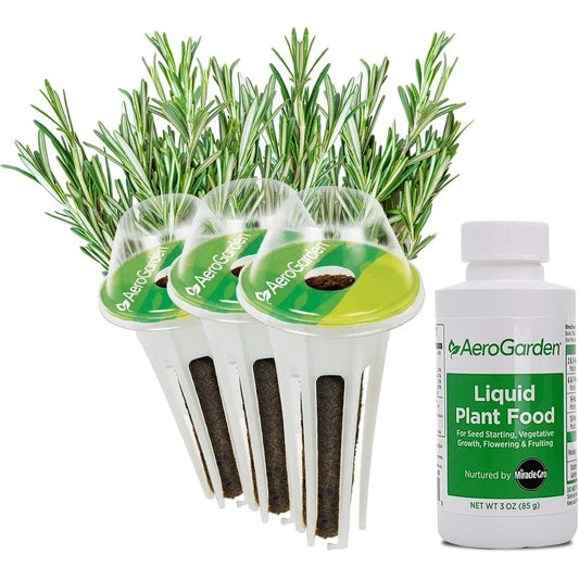 AeroGarden International Basil Seed Pod Kit(Rosemary)
