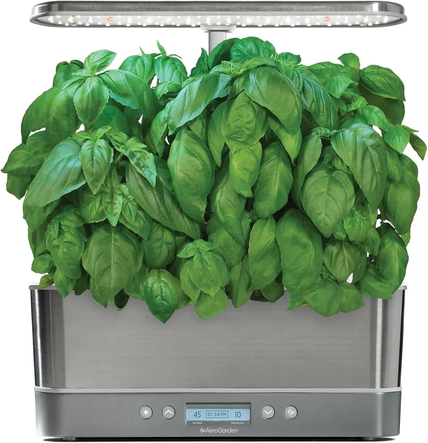 AeroGarden International Basil Seed Pod Kit(Pesto Basil)