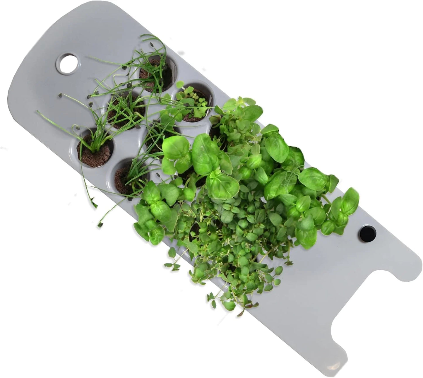 AeroGarden Seed Starting System Sprout – Start Up to 15 Seedlings