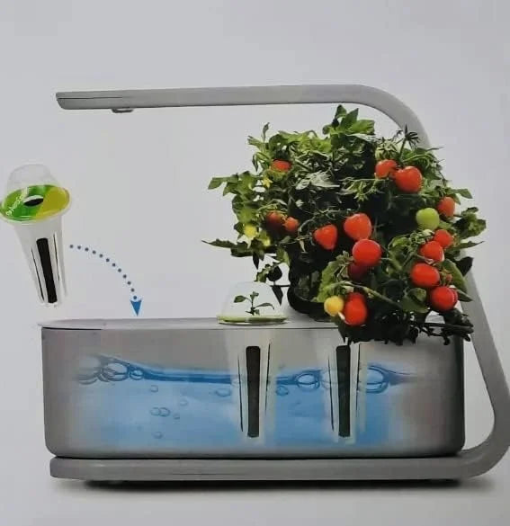 AeroGarden Sprout with Cocktail/Mocktail Seed Pod Kit