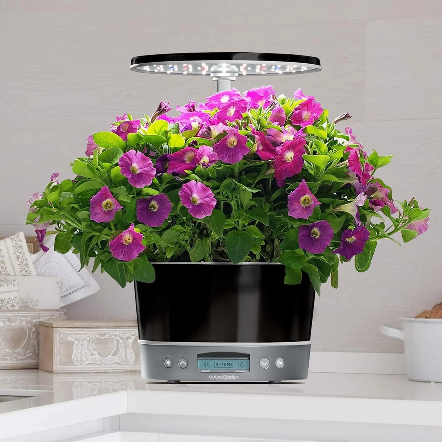 AeroGarden Harvest Elite 360 Indoor Garden Hydroponic System with LED Grow Light and Herb Kit, Holds up to 6 Pods, Platinum(Platinum)