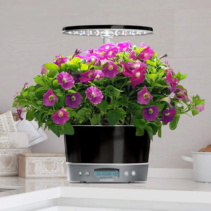 AeroGarden Harvest Elite 360 Indoor Garden Hydroponic System with LED Grow Light and Herb Kit, Holds up to 6 Pods, Platinum(Platinum)
