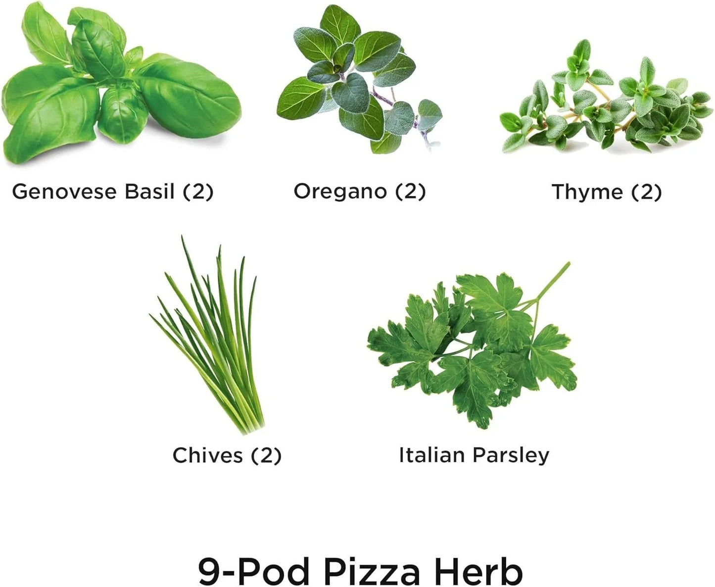 AeroGarden International Basil Seed Pod Kit(Pizza Herbs)