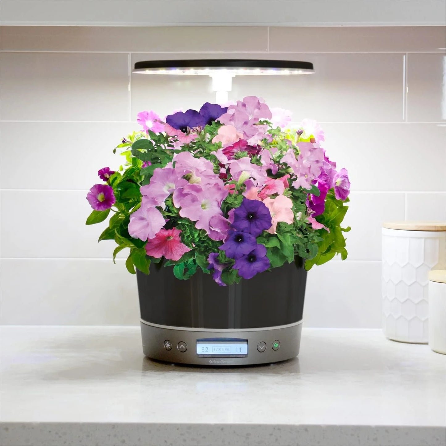 AeroGarden Harvest Elite 360 Indoor Garden Hydroponic System with LED Grow Light and Herb Kit, Holds up to 6 Pods, Platinum(Platinum)
