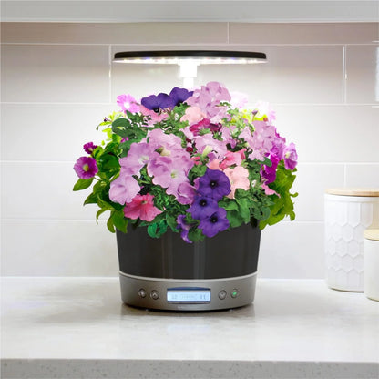 AeroGarden Harvest Elite 360 Indoor Garden Hydroponic System with LED Grow Light and Herb Kit, Holds up to 6 Pods, Platinum(Platinum)