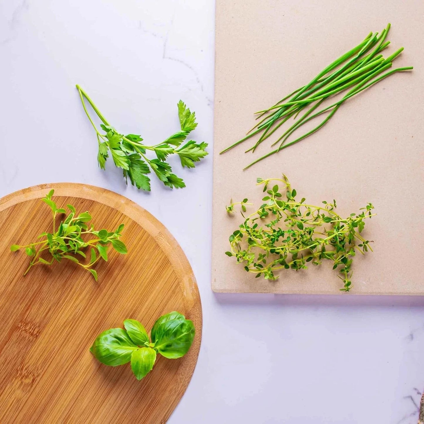 AeroGarden International Basil Seed Pod Kit(Pizza Herbs)