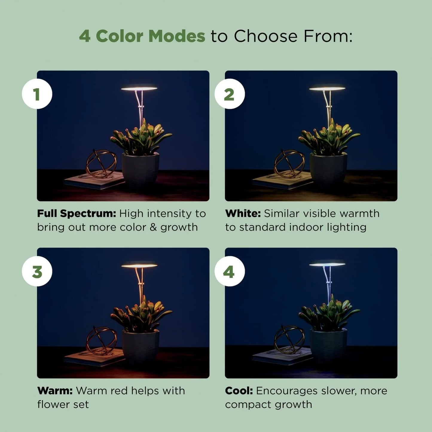 AeroGarden Stem Grow Light for Indoor Plants, Grow Live Plants Anywhere in the Home, Adjustable Light Modes, Black(Black)