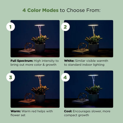 AeroGarden Stem Grow Light for Indoor Plants, Grow Live Plants Anywhere in the Home, Adjustable Light Modes, Black(Black)