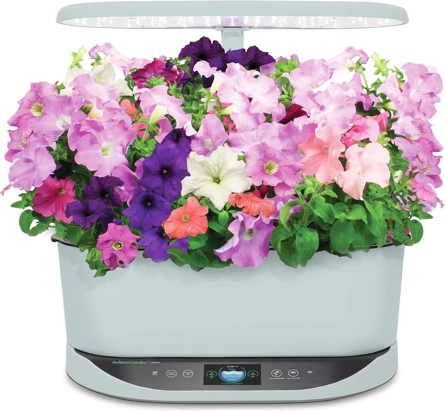 AeroGarden Cascading Petunias Seed pod Kit for AeroGarden Hydroponic Indoor Garden, 6-Pod(Cascading Petunias)