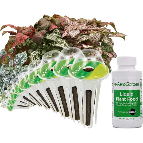 AeroGarden Cascading Petunias Seed pod Kit for AeroGarden Hydroponic Indoor Garden, 6-Pod(Lots of Dots)
