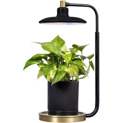 AeroGarden Tabletop Grow Light for Indoor Plants, Grow Live Plants Anywhere in The Home, Adjustable Light Modes, Black