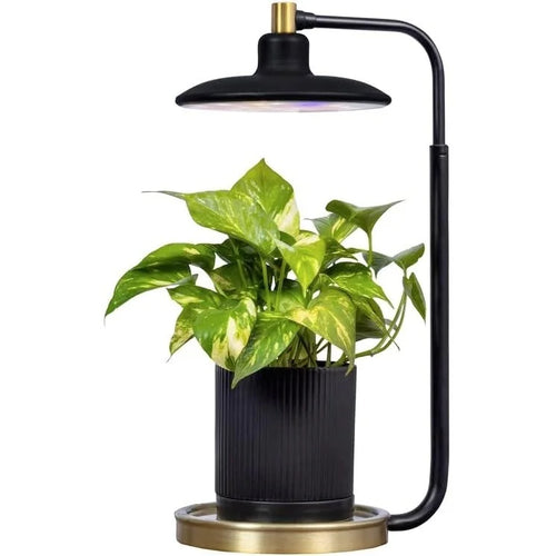 AeroGarden Tabletop Grow Light for Indoor Plants, Grow Live Plants Anywhere in The Home, Adjustable Light Modes, Black