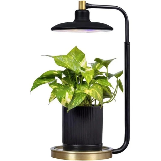 AeroGarden Tabletop Grow Light for Indoor Plants, Grow Live Plants Anywhere in The Home, Adjustable Light Modes, Black
