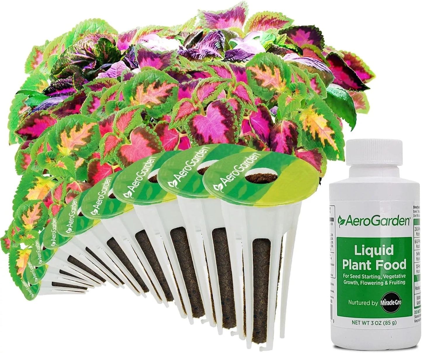 AeroGarden Cascading Petunias Seed pod Kit for AeroGarden Hydroponic Indoor Garden, 6-Pod(Colorful Coleus)