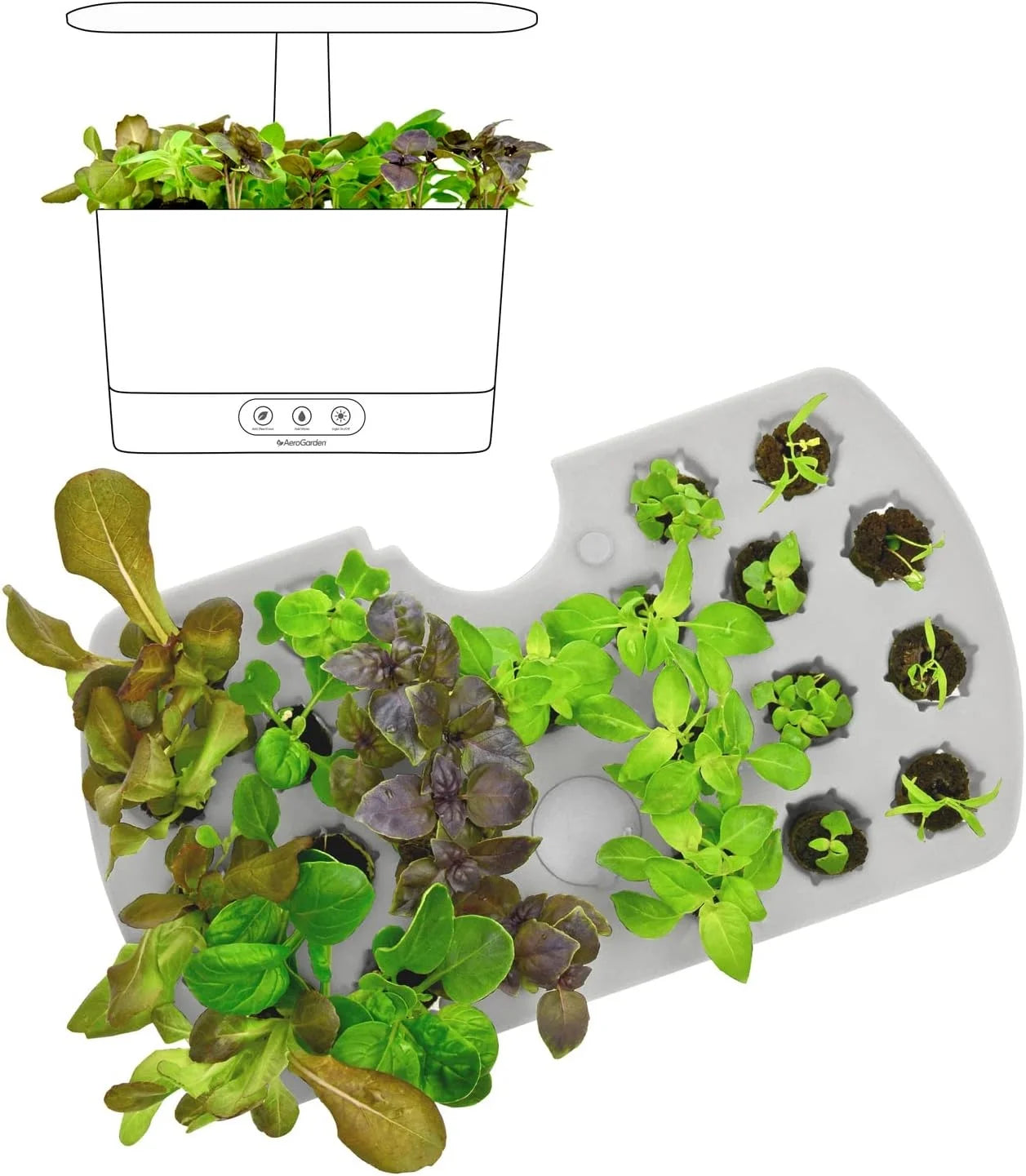 AeroGarden Seed Starting System for Harvest Models