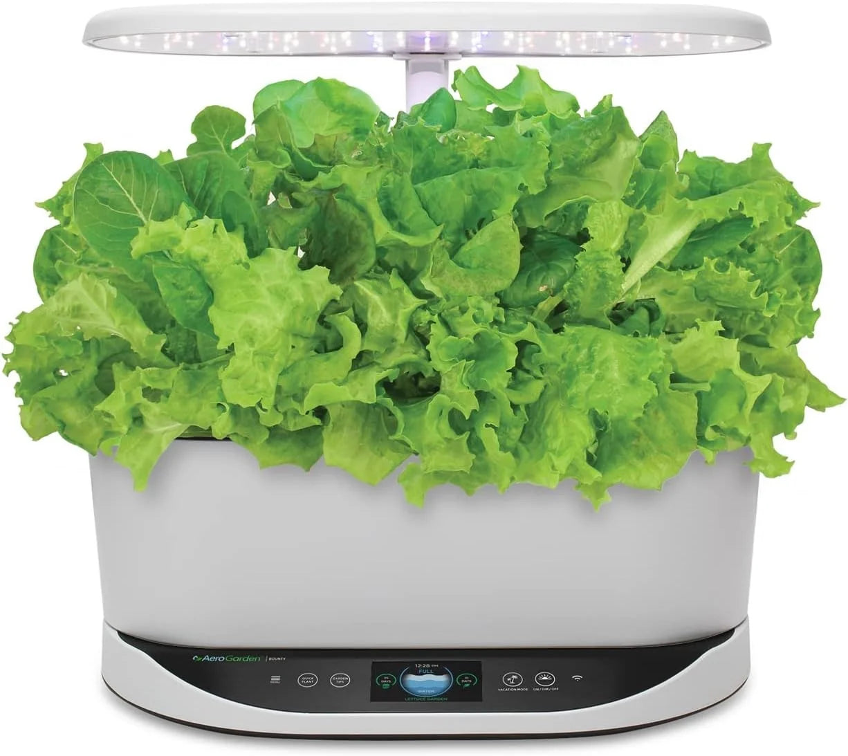 AeroGarden Heirloom Salad Greens Mix Seed Pod Kit – Salad Kit for AeroGarden Indoor Garden, 9-Pod(9-pod)