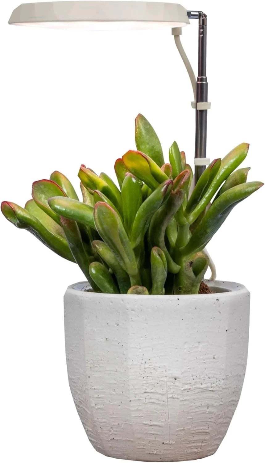AeroGarden Stem Grow Light for Indoor Plants, Grow Live Plants Anywhere in the Home, Adjustable Light Modes, Black(Cream)