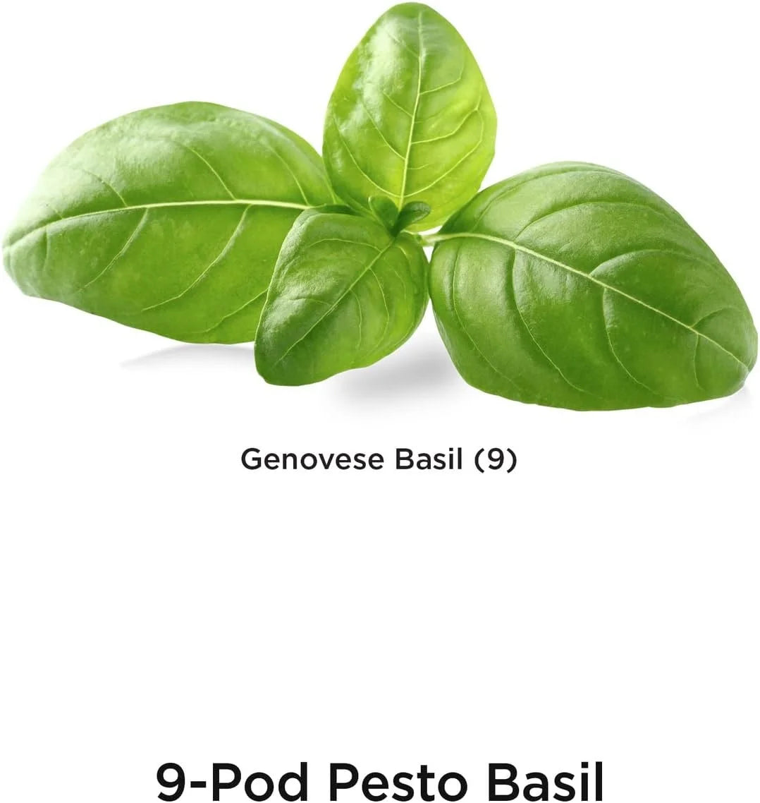 AeroGarden International Basil Seed Pod Kit(Pesto Basil)