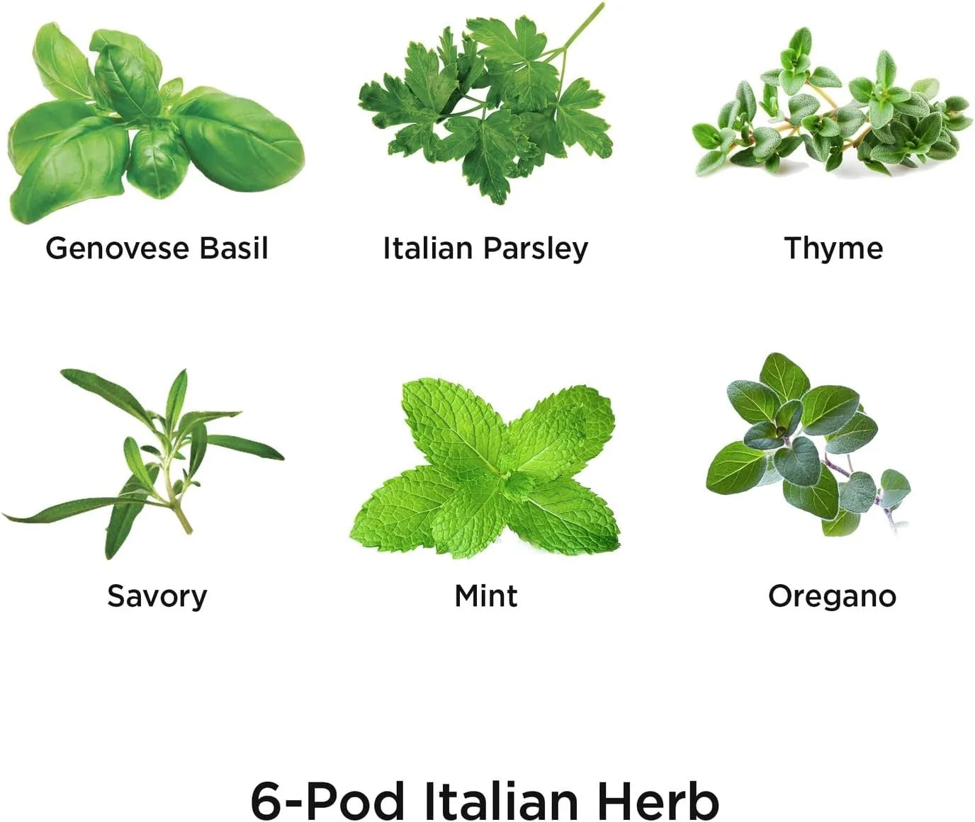 AeroGarden International Basil Seed Pod Kit(Italian Herbs)