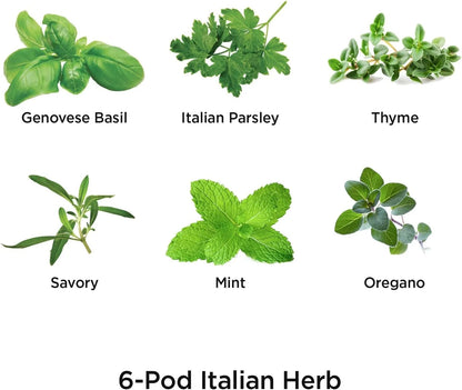 AeroGarden International Basil Seed Pod Kit(Italian Herbs)